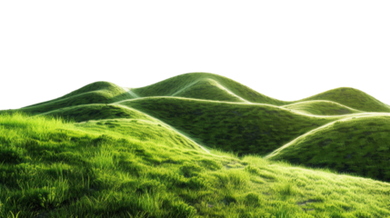 A lush green hillside with a clear blue sky in the background