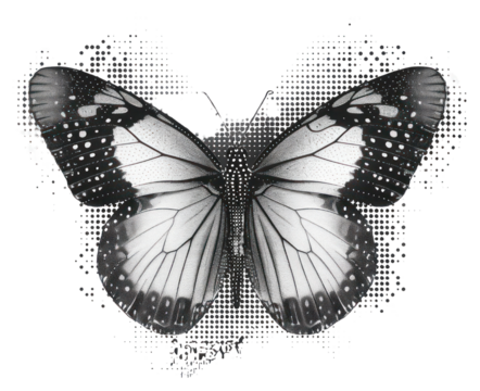 PNG Monochrome butterfly digital illustration