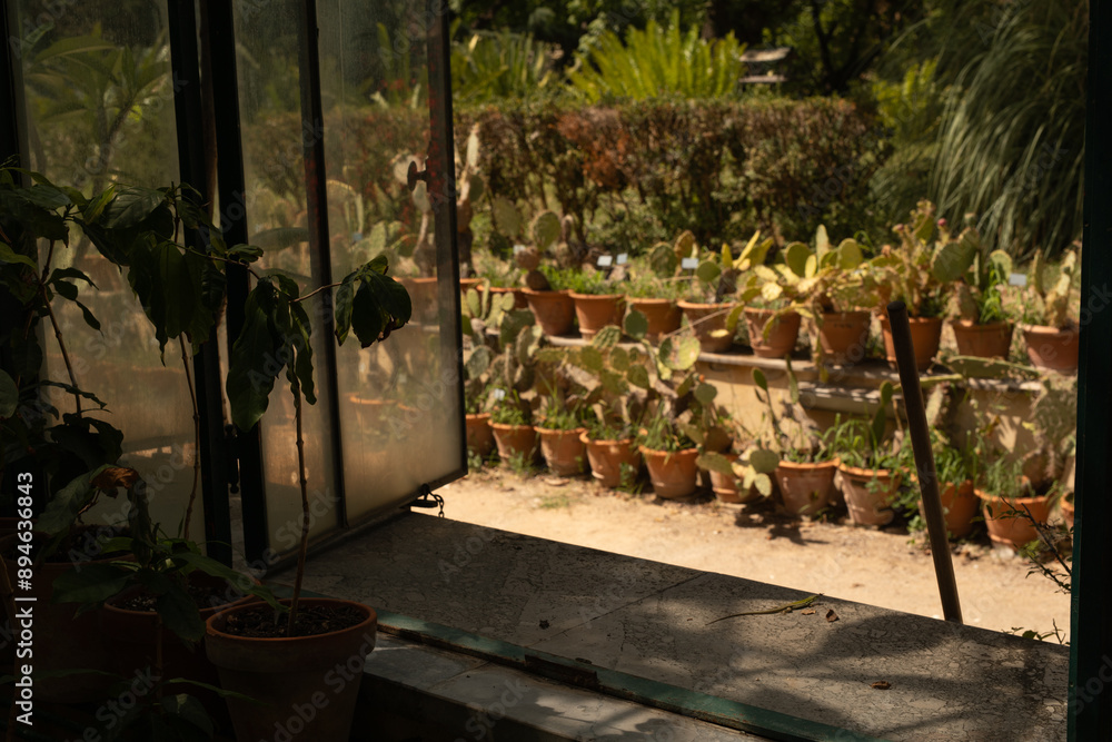 Poster A view of a garden through an open window