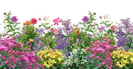 Obraz premium PNG Colorful vibrant floral garden illustration