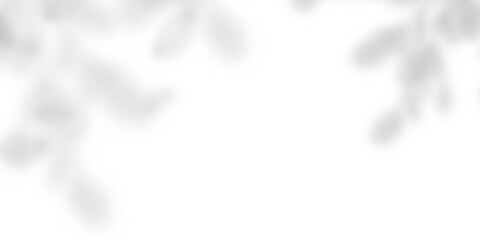 shadow background with abstract white background