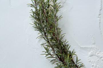 Closeup of Rosemary on Flour