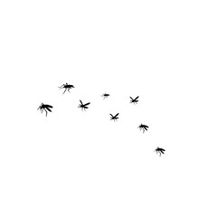 group flying mosquitoes