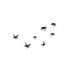 group flying mosquitoes