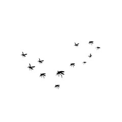 group flying mosquitoes