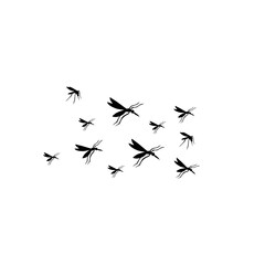 group flying mosquitoes