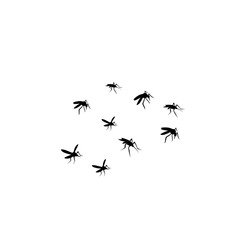 group flying mosquitoes