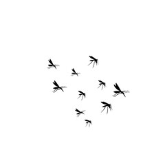 group flying mosquitoes