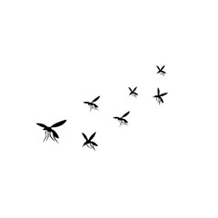 group flying mosquitoes