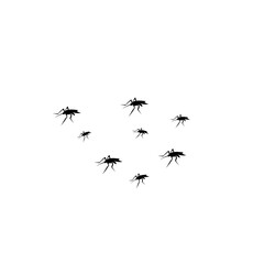 group flying mosquitoes