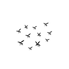 group flying mosquitoes