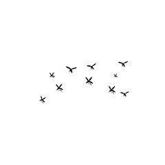 group flying mosquitoes