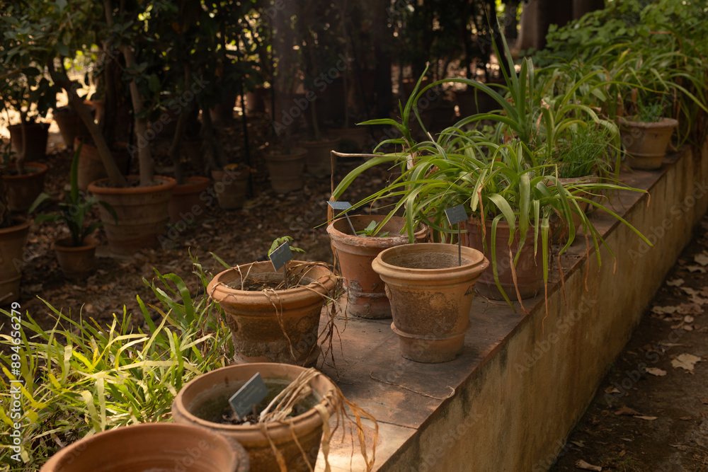 Poster a row of potted plants with labels sitting on a concrete ledge