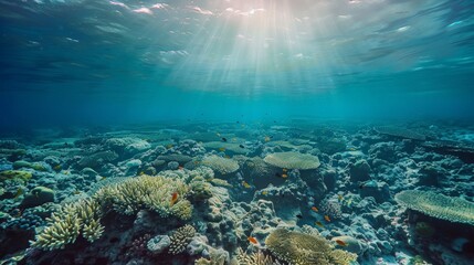 Fototapeta premium The rhythm mirrors the heartbeat of the planet.