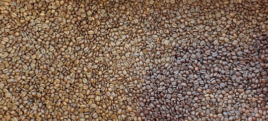 Wide view of freshly roasted, brown and tan, whole coffee beans.