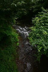 川と自然
