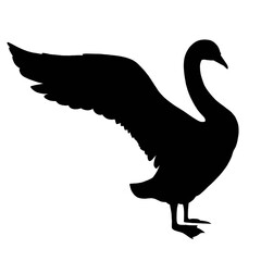 Silhouette image of a swan spread its wings