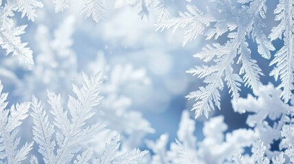 Obraz premium Winter Wonderland: Frosty Ice Crystals Macro Photography