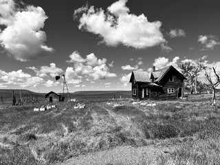 Black and white photo of an abandoned farmstead in rural North Dakota