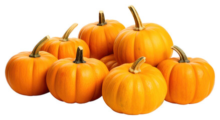 PNG Pumpkin vegetable squash plant.