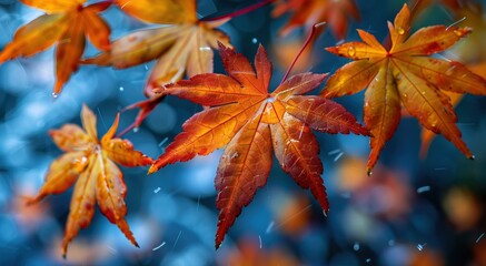 An autumn inspired background uhd WALLPAPER