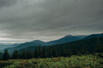 Fototapeta premium Mountain spring landscape. Overcast weather. The sky is overcast with dark clouds. Beautiful mountain landscape in spring.