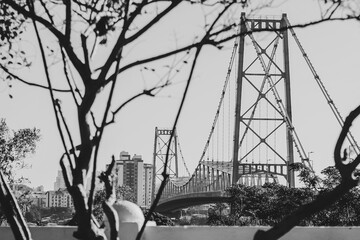 bridge over the river