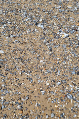 Seashore Pebbles and Sand Texture for Background Design