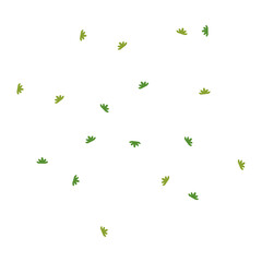 Green Parsley Leaves sliced illustration