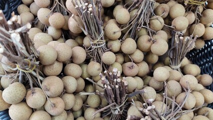 close up of pistachio nuts