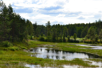 Obraz premium A photo of a flooded meadow with a forest on the background