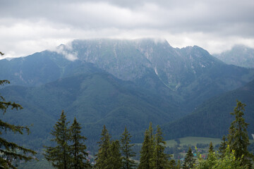 The peaks of the rocky mountains are covered with thick clouds. Blue mountain slopes in the clouds. Mountain panorama from above. Mountain slopes close-up.