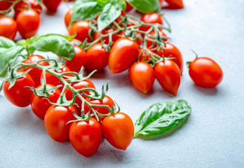 Red cherry tomatoes on vine with green basil leaves on gray table