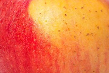 Red and yellow apple texture with water drops.