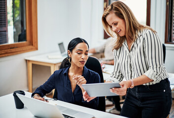 Business woman, technology or internship questions with manager for creative project review,...