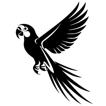 Parrot SVG vector transparent background PNG clipart
