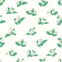 Seamless vector pattern with jasmine flowers and green leaves. Floral background illustration.