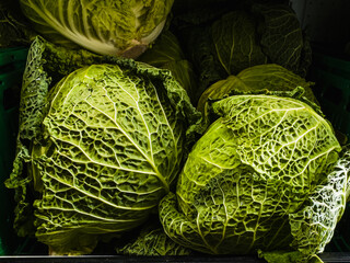Fresh Green Cabbages in Market Display