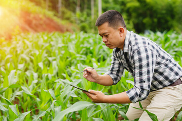 Hands of farmer, Agriculture technology farmer man using tablet Modern technology concept agriculture.