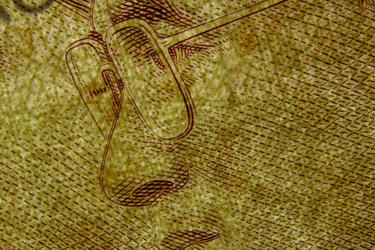 Photograph of banknotes with a magnifying lens Makes it possible to see the delicate lines that the creator has painted on the banknote.