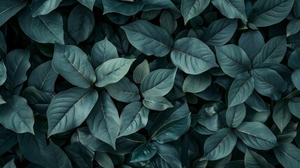 Fototapeta premium A captivating photo showcasing a background of lush leaves, embodying aesthetic minimalism. The wallpaper features a palette of dark sage colors, offering a serene and sophisticated vibe. 