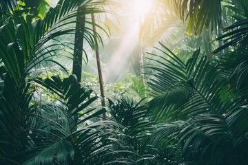 Lush green palm trees with sunlight shining through.