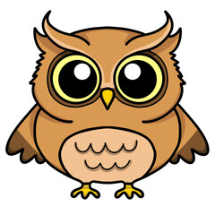 owl
