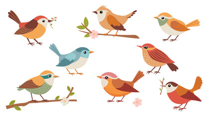 Birds set. Different beautiful birdie with flowers and branch. Vector cartoon illustration in childish style isolated on white.