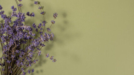 Dried lavender banner