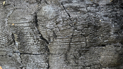 Macro photo of charcoal. Dark background