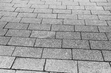 Bricks and stones city pavement pattern, road texture black and white background. Pencil sketch drawing illustration