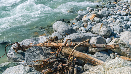 A dry tree on the riverbank. The bubbling glacial-clear water of a mountain river with large stones high in the mountains. Environmentally friendly water flows down from a glacier in the mountains.