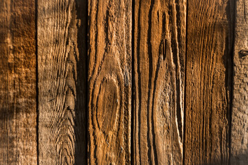 Texture of wooden planks