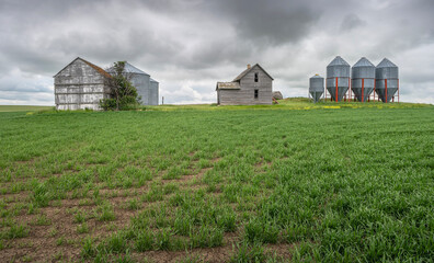 Grain Bins and Old Abandoned House on the Horizon near the village of Eston, Saskatchewan, Canada